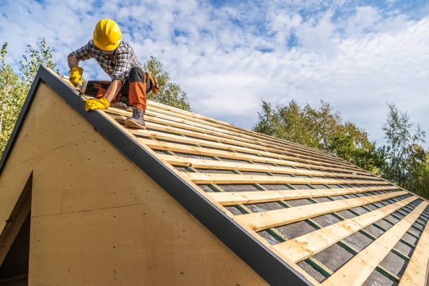 Best Roof Gutter Cleaning  in Santa Maria, CA